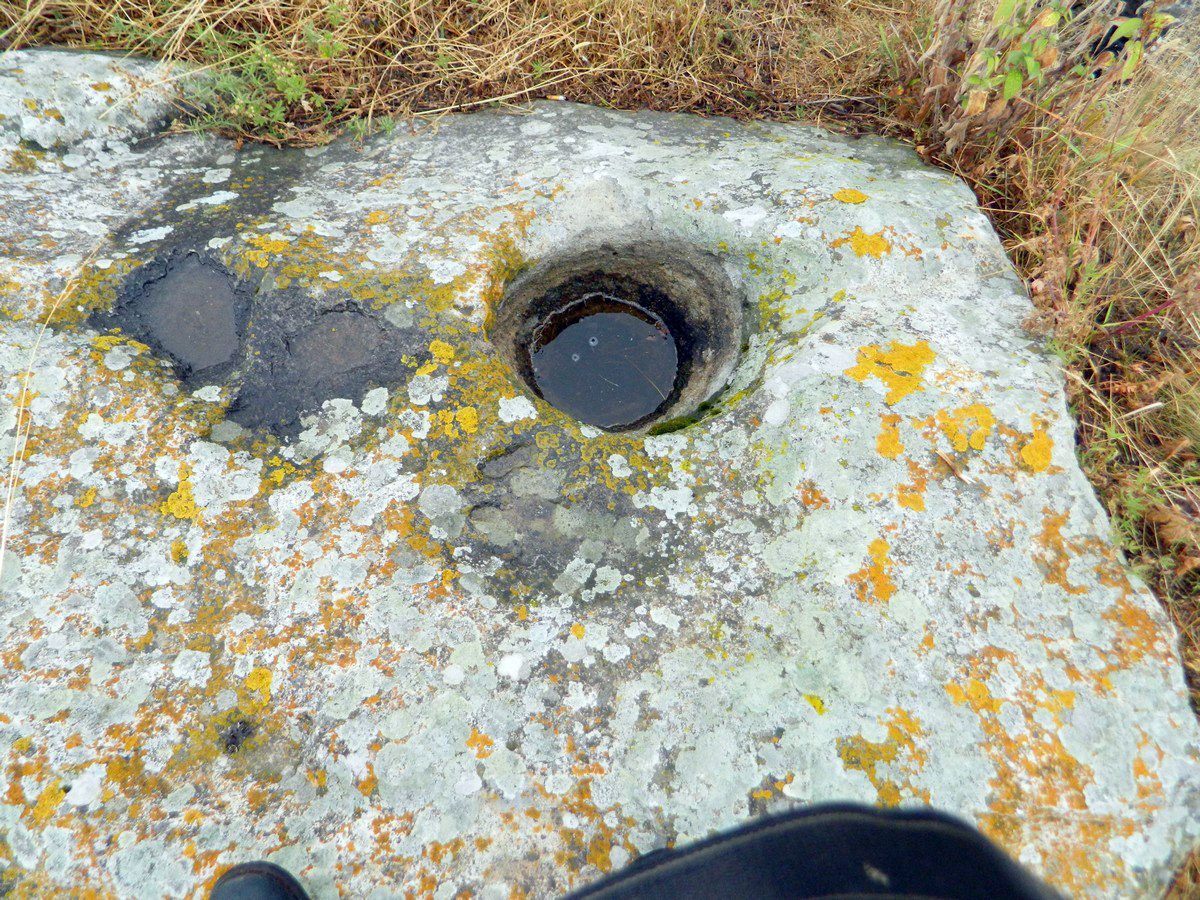 «Աստղային քարտեզ». Միրիկ